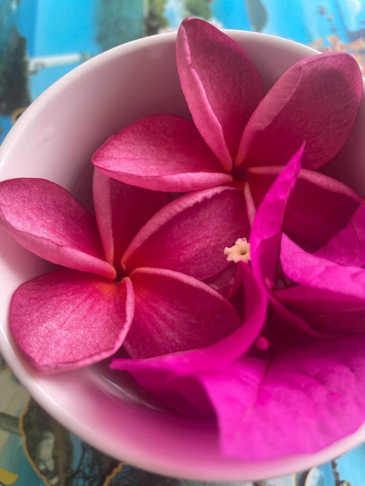Studio Hibiscus Anse Des Rochers Saint Francois Exterior foto