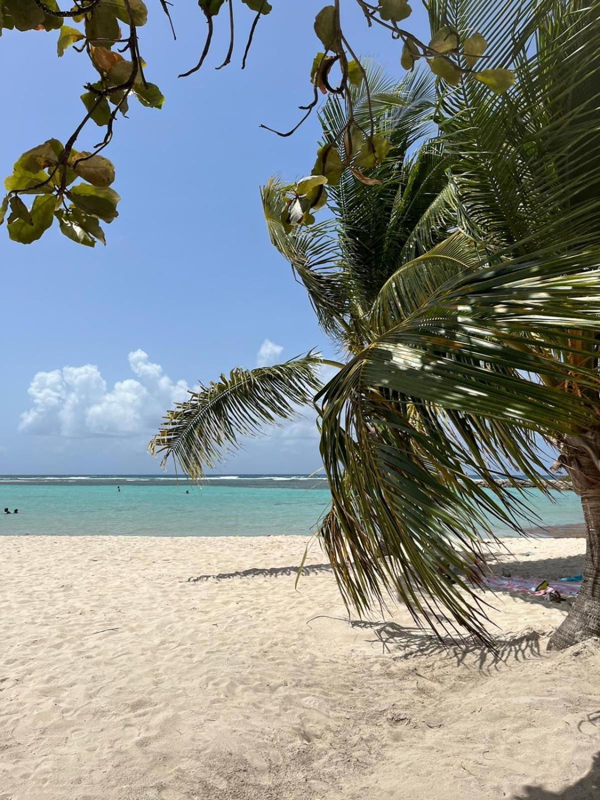Studio Hibiscus Anse Des Rochers Saint Francois Exterior foto